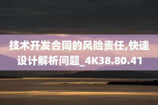 技术开发合同的风险责任,快速设计解析问题_4K38.80.41