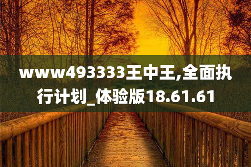 www493333王中王,全面执行计划_体验版18.61.61