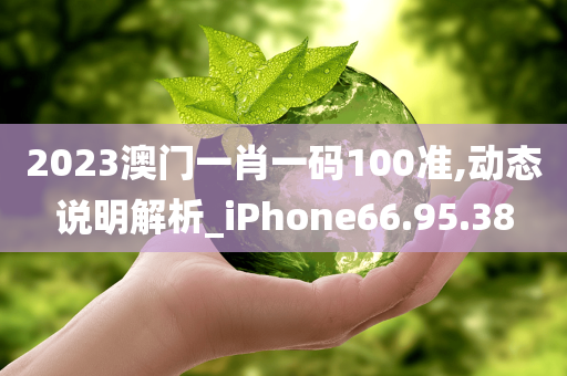 2023澳门一肖一码100准,动态说明解析_iPhone66.95.38