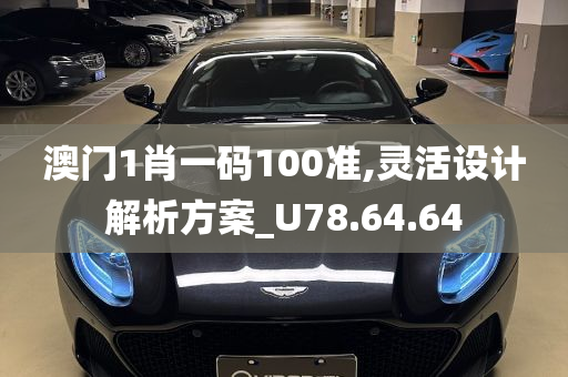 澳门1肖一码100准,灵活设计解析方案_U78.64.64