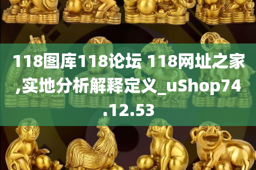 118图库118论坛 118网址之家,实地分析解释定义_uShop74.12.53