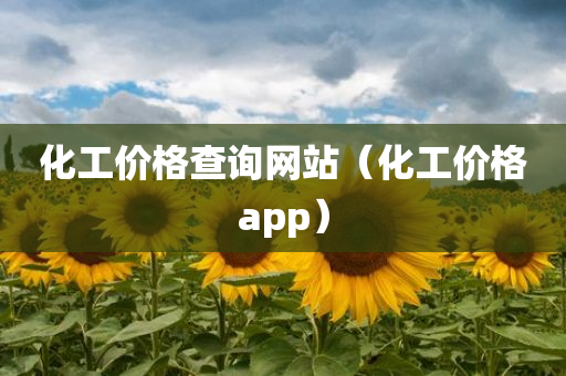 化工价格查询网站（化工价格app）