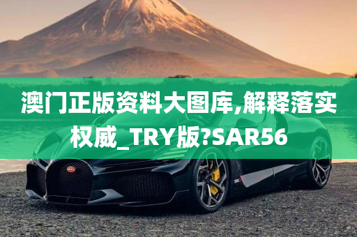 澳门正版资料大图库,解释落实权威_TRY版?SAR56