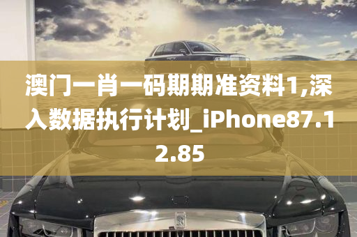 澳门一肖一码期期准资料1,深入数据执行计划_iPhone87.12.85