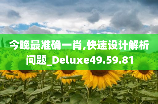 今晚最准确一肖,快速设计解析问题_Deluxe49.59.81