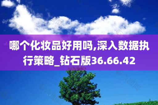 哪个化妆品好用吗,深入数据执行策略_钻石版36.66.42