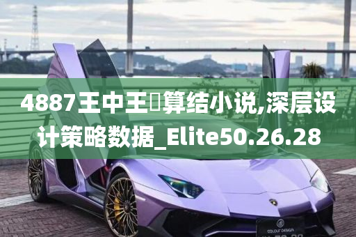 4887王中王鉄算结小说,深层设计策略数据_Elite50.26.28