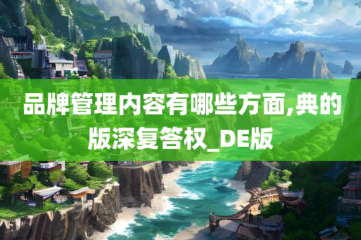 品牌管理内容有哪些方面,典的版深复答权_DE版