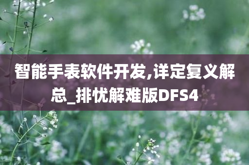 智能手表软件开发,详定复义解总_排忧解难版DFS4