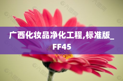 广西化妆品净化工程,标准版_FF45