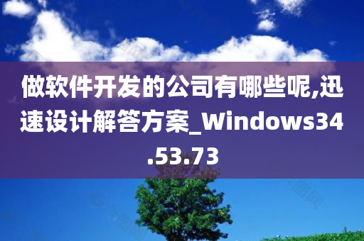 做软件开发的公司有哪些呢,迅速设计解答方案_Windows34.53.73