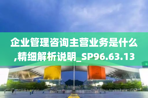 企业管理咨询主营业务是什么,精细解析说明_SP96.63.13