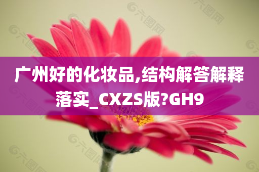 广州好的化妆品,结构解答解释落实_CXZS版?GH9