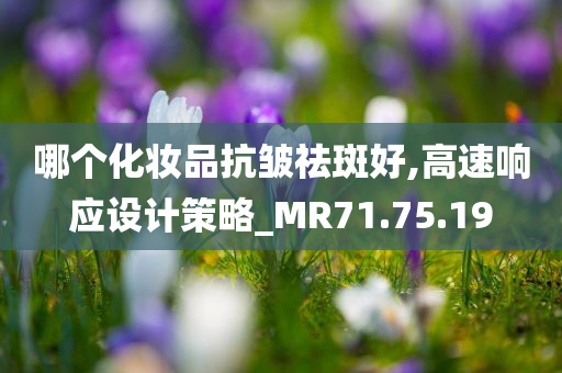 哪个化妆品抗皱祛斑好,高速响应设计策略_MR71.75.19