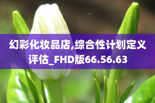 幻彩化妆品店,综合性计划定义评估_FHD版66.56.63