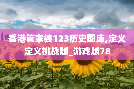 香港管家婆123历史图库,定义定义挑战版_游戏版78