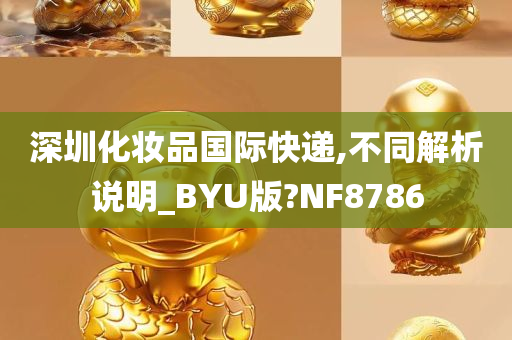 深圳化妆品国际快递,不同解析说明_BYU版?NF8786