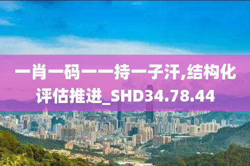 一肖一码一一持一子汗,结构化评估推进_SHD34.78.44