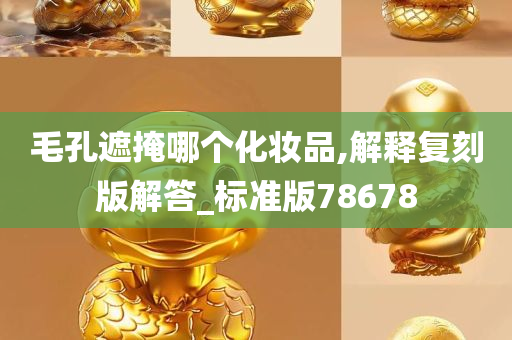 毛孔遮掩哪个化妆品,解释复刻版解答_标准版78678