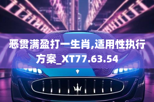 恶贯满盈打一生肖,适用性执行方案_XT77.63.54