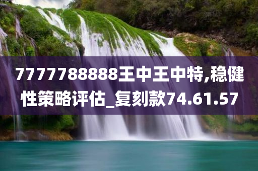 7777788888王中王中特,稳健性策略评估_复刻款74.61.57