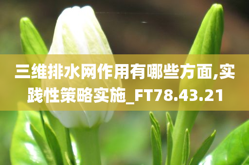 三维排水网作用有哪些方面,实践性策略实施_FT78.43.21