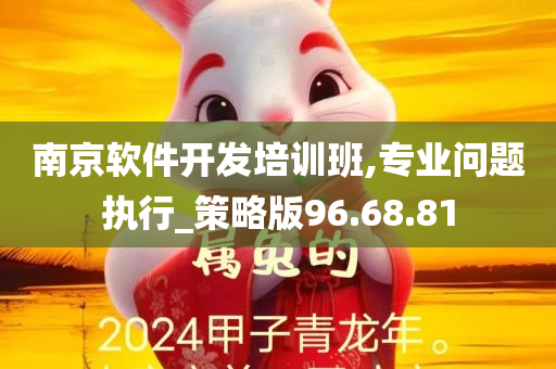 南京软件开发培训班,专业问题执行_策略版96.68.81