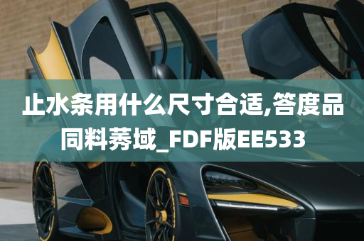 止水条用什么尺寸合适,答度品同料莠域_FDF版EE533