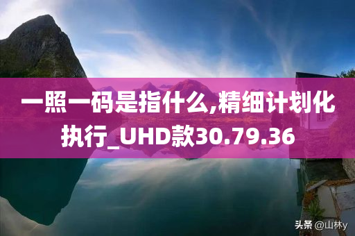 一照一码是指什么,精细计划化执行_UHD款30.79.36