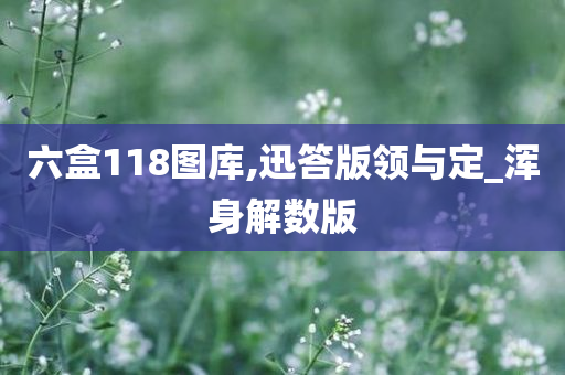 六盒118图库,迅答版领与定_浑身解数版