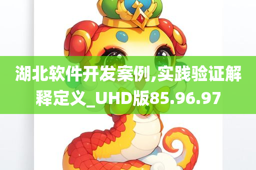 湖北软件开发案例,实践验证解释定义_UHD版85.96.97