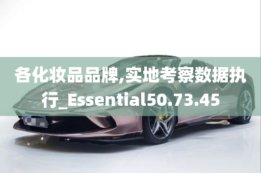 各化妆品品牌,实地考察数据执行_Essential50.73.45