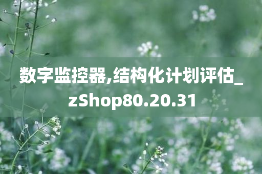 数字监控器,结构化计划评估_zShop80.20.31