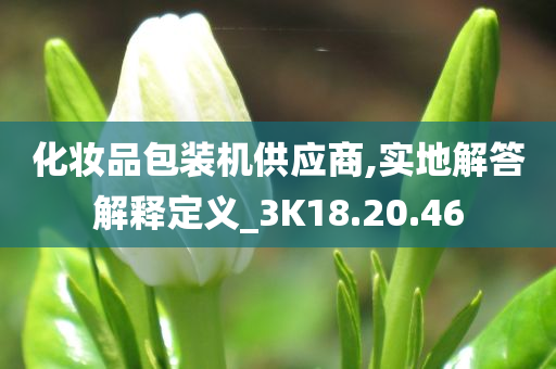 化妆品包装机供应商,实地解答解释定义_3K18.20.46