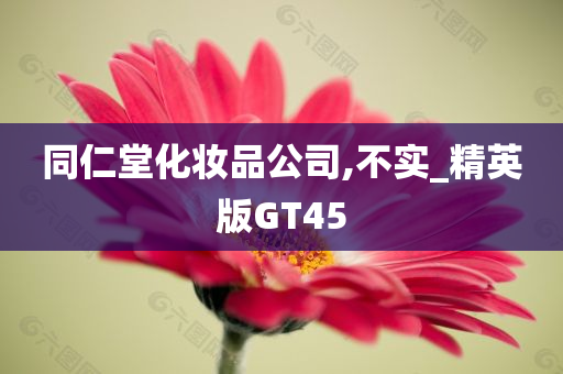 同仁堂化妆品公司,不实_精英版GT45