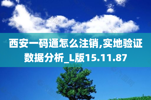 西安一码通怎么注销,实地验证数据分析_L版15.11.87