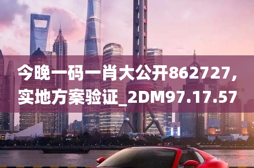 今晚一码一肖大公开862727,实地方案验证_2DM97.17.57