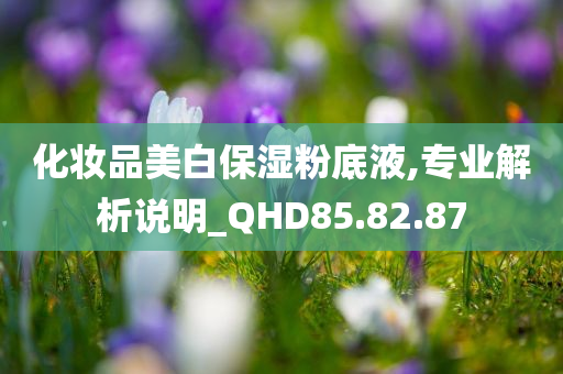 化妆品美白保湿粉底液,专业解析说明_QHD85.82.87