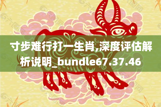 寸步难行打一生肖,深度评估解析说明_bundle67.37.46