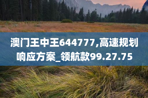 澳门王中王644777,高速规划响应方案_领航款99.27.75