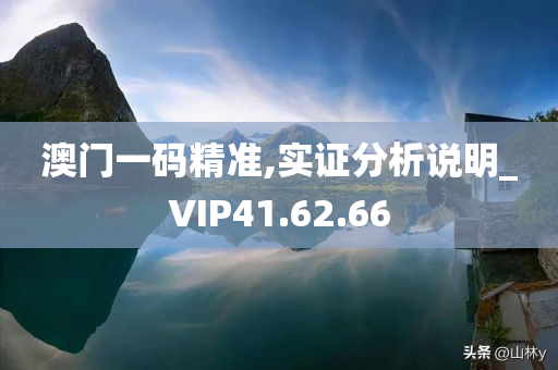 澳门一码精准,实证分析说明_VIP41.62.66