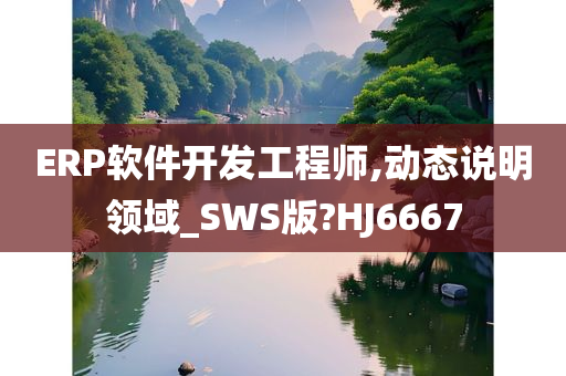 ERP软件开发工程师,动态说明领域_SWS版?HJ6667