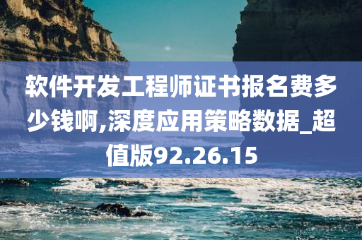 软件开发工程师证书报名费多少钱啊,深度应用策略数据_超值版92.26.15