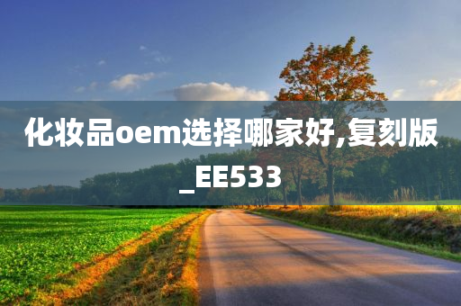 化妆品oem选择哪家好,复刻版_EE533