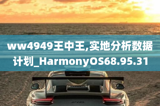 ww4949王中王,实地分析数据计划_HarmonyOS68.95.31