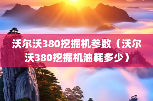 沃尔沃380挖掘机参数（沃尔沃380挖掘机油耗多少）