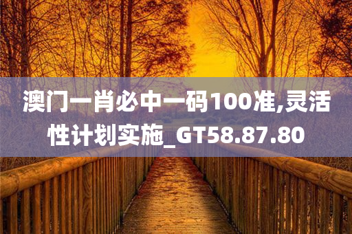 澳门一肖必中一码100准,灵活性计划实施_GT58.87.80