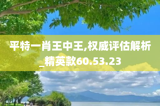 平特一肖王中王,权威评估解析_精英款60.53.23