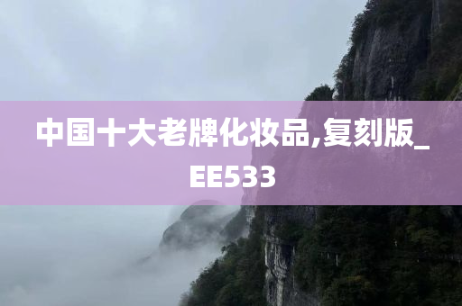 中国十大老牌化妆品,复刻版_EE533