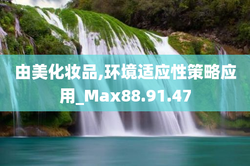 由美化妆品,环境适应性策略应用_Max88.91.47